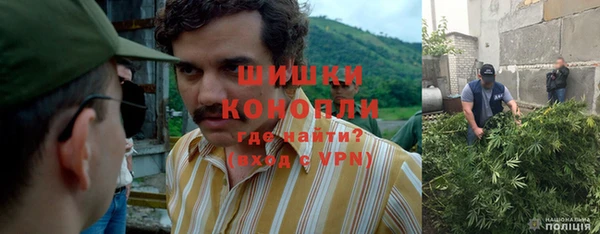 мяу мяу мука Абаза